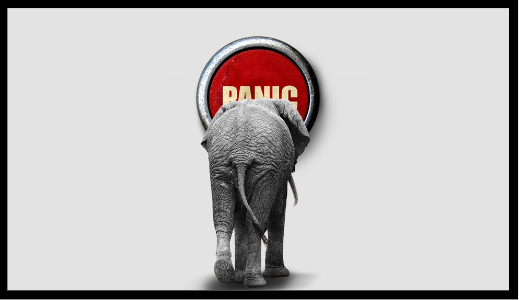 An elephant stands in front of a red button with the word "bang," showcasing their impressive leadership skills.